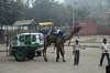 Indien 2012 (219) - Agra