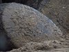 Indien 2012 (39)