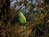 Indien 2012 (193)
