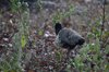 Indien 2012 (137)