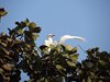 Indien 2012 (114)