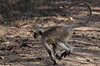 Indien 2012 (177)