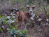Indien 2012 (59)