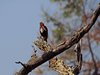 Indien 2012 (149)