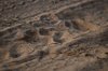 Indien 2012 (166)