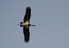 Indien 2012 (101)