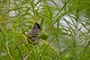 Indien 2012 (69)