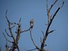 Indien 2012 (102)
