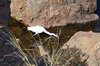 Indien 2012 (151)