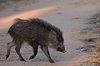 Indien 2012 (168)