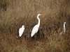 Indien 2012 (97)