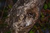 Indien 2012 (31)