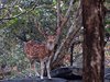 Indien 2012 (51)