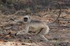 Indien 2012 (178)