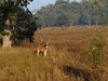 Indien 2012 (169)