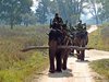 Indien 2012 (150)