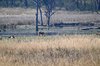 Indien 2012 (108)
