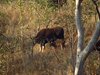 Indien 2012 (141)