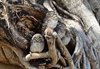 Indien 2012 (157)