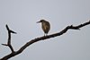 Indien 2012 (33)