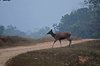 Indien 2012 (36)