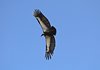 Indien 2012 (144)