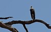 Indien 2012 (184)