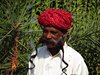 Indien 2012 (242)