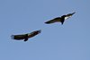 Indien 2012 (146)