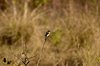 Indien 2012 (145)