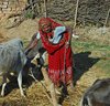 Indien 2012 (194)