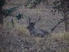 Indien 2012 (42)