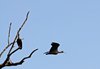 Indien 2012 (181)