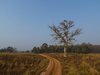 Indien 2012 (92)
