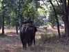 Indien 2012 (173)