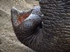 Indien 2012 (41)