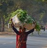 Indien 2012 (215)