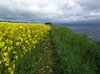 Sydfyn2012 (27)