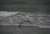 Sydfyn2012 (34)