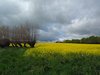 Sydfyn2012 (28)