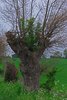 Sydfyn2012 (24)