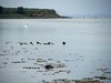 Sydfyn2012 (23)