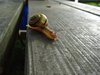 Sydfyn2012 (25)