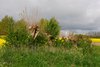 Sydfyn2012 (31)