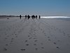 Sydvestjylland_2012 (28)