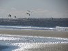 Sydvestjylland_2012 (29)