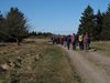 Sydvestjylland_2012 (40)