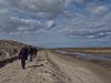 Sydvestjylland_2012 (36)