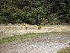 Sydvestjylland_2012 (42)