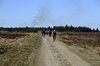 Sydvestjylland_2012 (41)